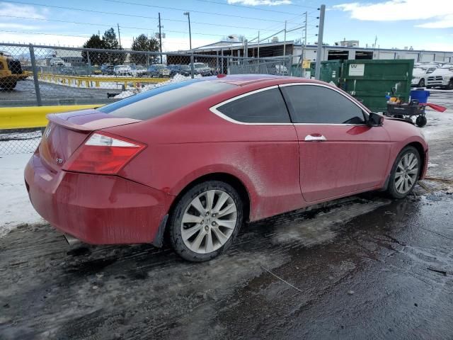 2010 Honda Accord EXL