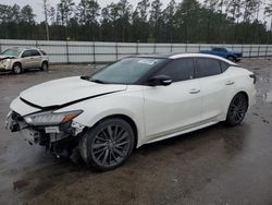 Salvage cars for sale at Harleyville, SC auction: 2019 Nissan Maxima S