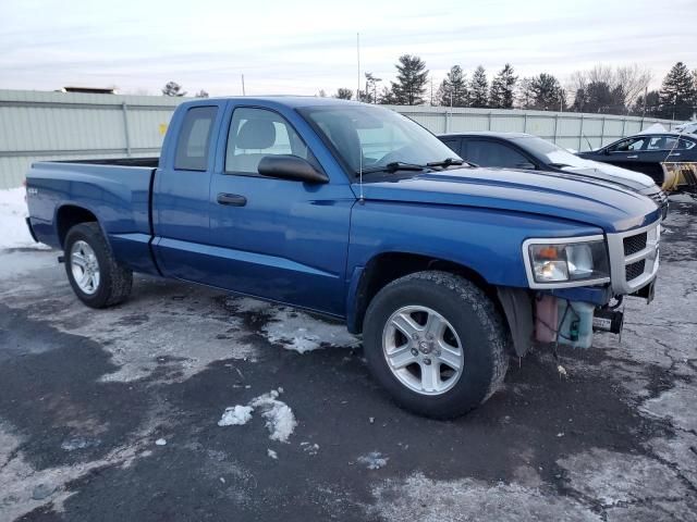 2011 Dodge Dakota SLT