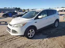 Salvage cars for sale at Harleyville, SC auction: 2014 Ford Escape SE