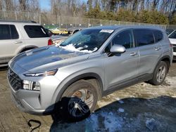 Hyundai salvage cars for sale: 2023 Hyundai Santa FE SE