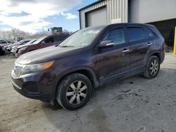 Salvage cars for sale at Duryea, PA auction: 2011 KIA Sorento Base