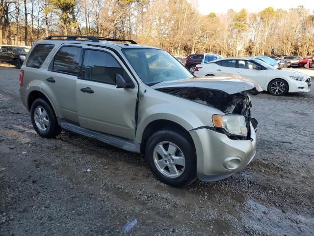 2012 Ford Escape XLT