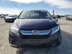 2019 Honda Odyssey EXL