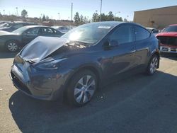 Salvage cars for sale at Gaston, SC auction: 2023 Tesla Model Y