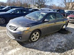 Toyota Corolla salvage cars for sale: 2013 Toyota Corolla Base