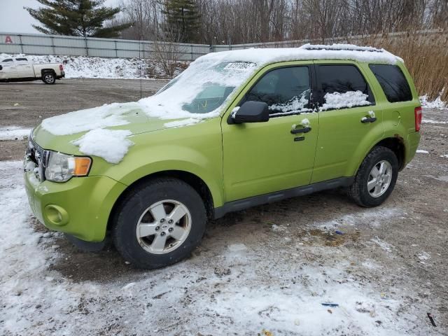 2012 Ford Escape XLT