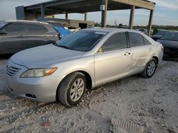 Salvage cars for sale at West Palm Beach, FL auction: 2008 Toyota Camry LE