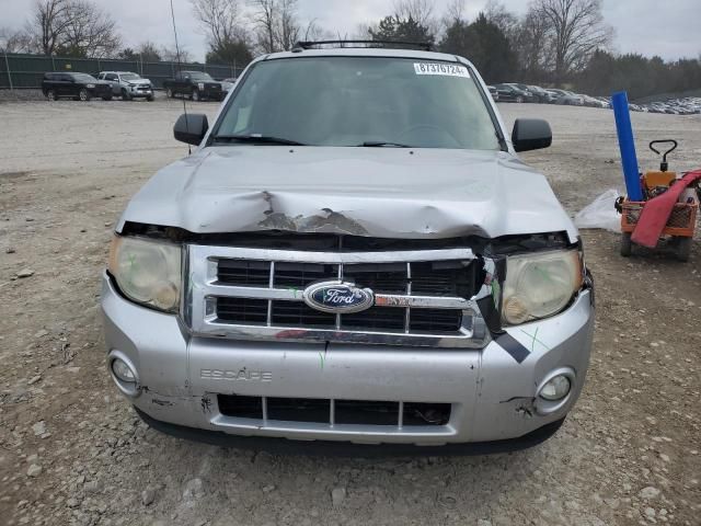 2011 Ford Escape XLT