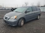 2008 Honda Odyssey EXL