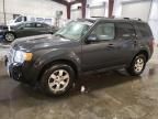 2009 Ford Escape Limited