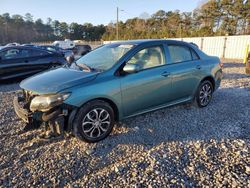 Toyota salvage cars for sale: 2010 Toyota Corolla Base