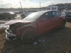 Tesla salvage cars for sale: 2023 Tesla Model 3