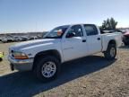 2001 Dodge Dakota Quattro