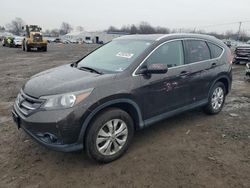 Salvage cars for sale at Hillsborough, NJ auction: 2013 Honda CR-V EXL