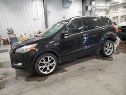 Ford salvage cars for sale: 2014 Ford Escape Titanium