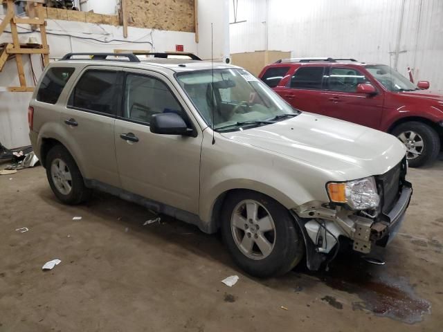 2011 Ford Escape XLT