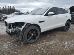 Jaguar salvage cars for sale: 2021 Jaguar F-PACE S