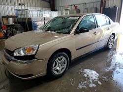 Salvage Cars with No Bids Yet For Sale at auction: 2004 Chevrolet Malibu