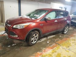 Salvage cars for sale at Indianapolis, IN auction: 2014 Ford Escape SE