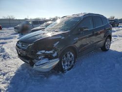 Salvage cars for sale at Kansas City, KS auction: 2013 Ford Escape SEL