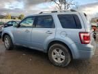 2008 Ford Escape HEV