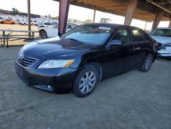 Salvage cars for sale at American Canyon, CA auction: 2007 Toyota Camry CE