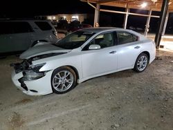 Salvage cars for sale at auction: 2013 Nissan Maxima S