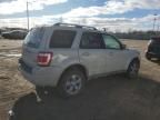 2009 Ford Escape Limited