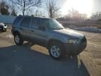 2007 Ford Escape XLT