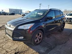 Salvage cars for sale at Chicago Heights, IL auction: 2014 Ford Escape SE