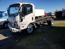 Salvage trucks for sale at Sacramento, CA auction: 2020 Isuzu NRR