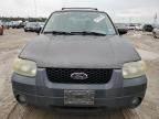 2005 Ford Escape XLT