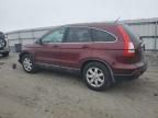 2008 Honda CR-V EXL