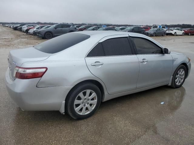 2009 Toyota Camry Hybrid