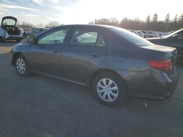 2009 Toyota Corolla Base