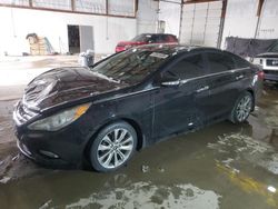 Salvage cars for sale at Lexington, KY auction: 2012 Hyundai Sonata SE