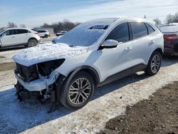 Ford Escape sel salvage cars for sale: 2022 Ford Escape SEL