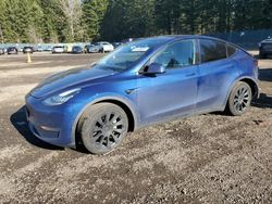 Tesla Model y salvage cars for sale: 2020 Tesla Model Y