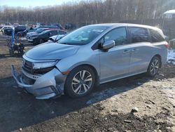 Salvage cars for sale at Baltimore, MD auction: 2023 Honda Odyssey Touring