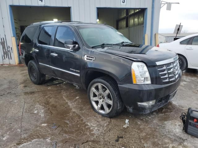 2010 Cadillac Escalade Premium