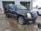 2010 Cadillac Escalade Premium