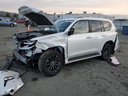 Salvage cars for sale from Copart Vallejo, CA: 2023 Lexus GX 460 Luxury