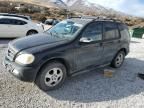 2004 Mercedes-Benz ML 350