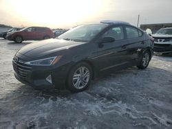 Hyundai salvage cars for sale: 2020 Hyundai Elantra SEL