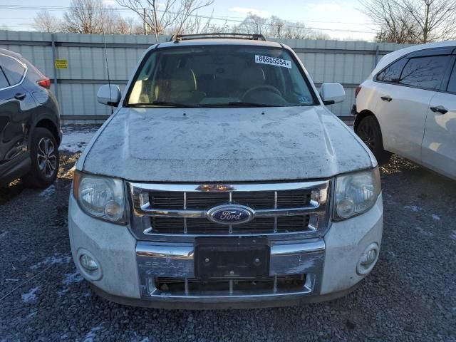 2010 Ford Escape Limited