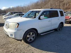 Honda Pilot salvage cars for sale: 2011 Honda Pilot EXL