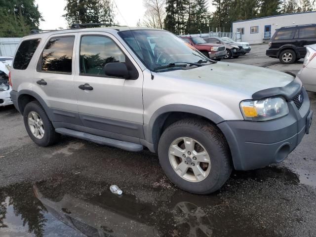 2005 Ford Escape XLT