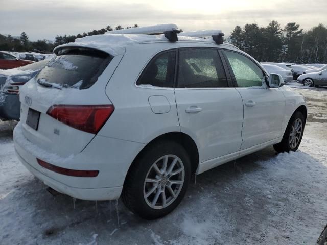 2010 Audi Q5 Premium Plus