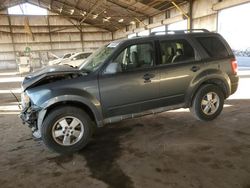 Ford Vehiculos salvage en venta: 2010 Ford Escape XLT